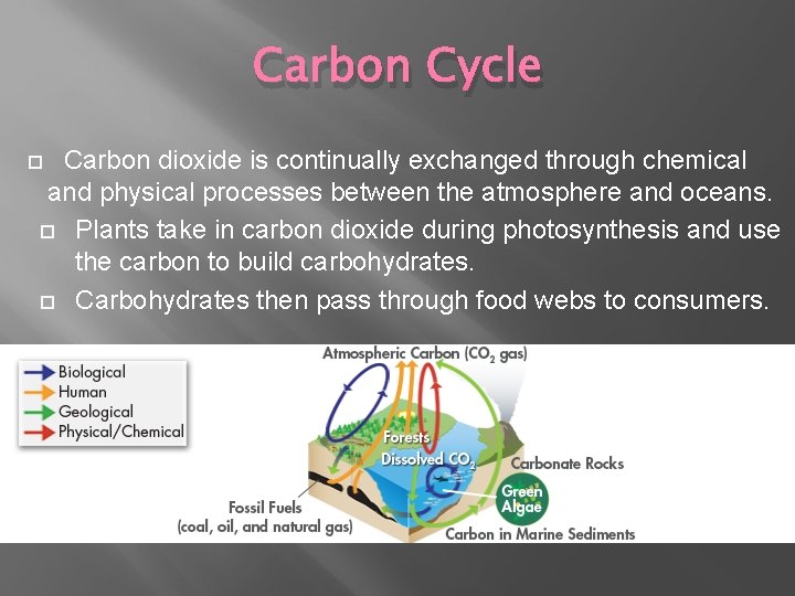 Carbon Cycle Carbon dioxide is continually exchanged through chemical and physical processes between the Carbon Cycle Carbon dioxide is continually exchanged through chemical and physical processes between the