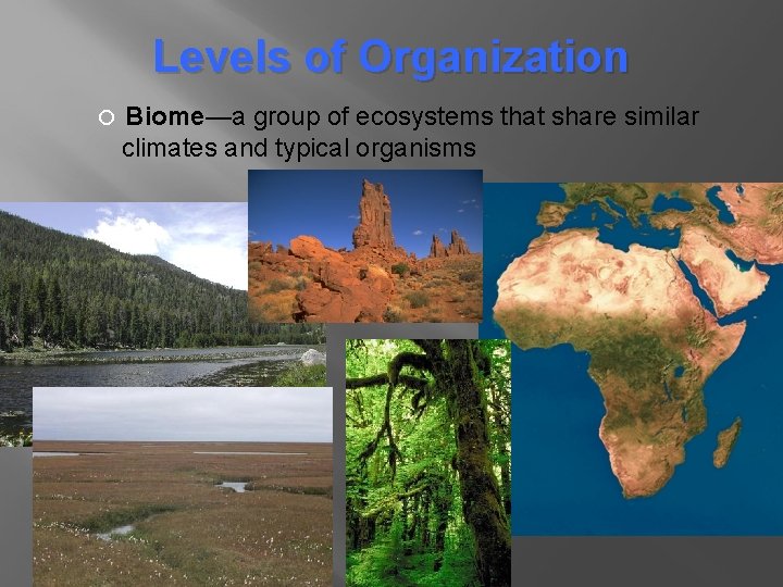 Levels of Organization Biome—a group of ecosystems that share similar climates and typical organisms Levels of Organization Biome—a group of ecosystems that share similar climates and typical organisms
