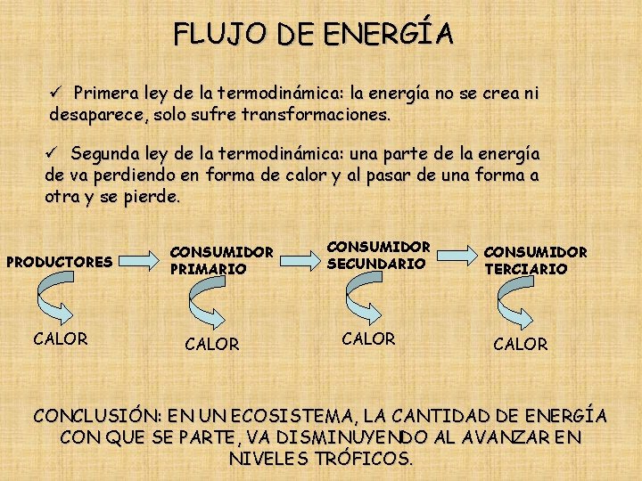 FLUJO DE ENERGÍA ü Primera ley de la termodinámica: la energía no se crea