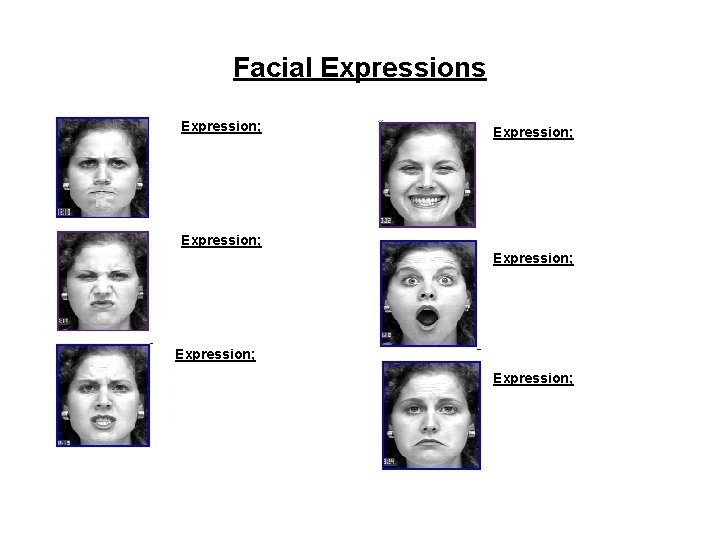 Facial Expressions Expression; Expression; 