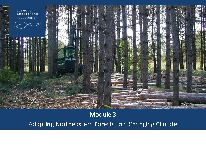 Module 3 Adapting Northeastern Forests to a Changing Climate 
