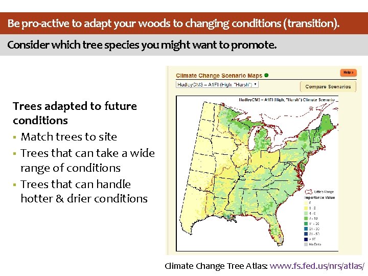 Be pro-active to adapt your woods to changing conditions (transition). Consider which tree species