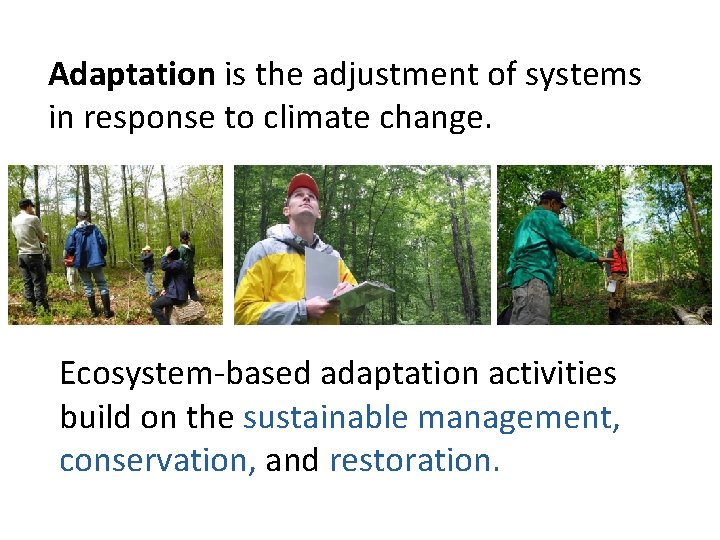 Adaptation is the adjustment of systems in response to climate change. Ecosystem-based adaptation activities