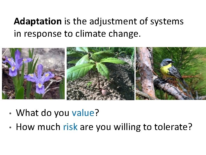 Adaptation is the adjustment of systems in response to climate change. • • What
