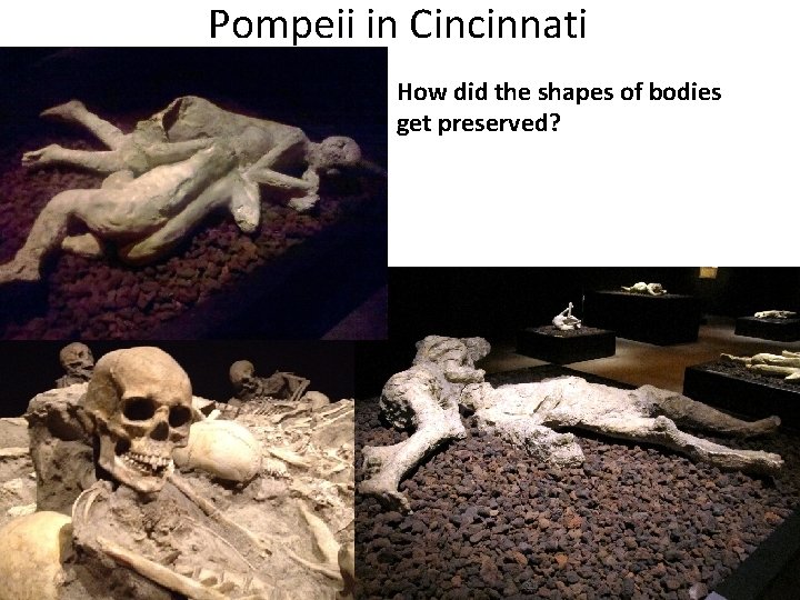 Pompeii in Cincinnati How did the shapes of bodies get preserved? • ADD IMAGES!