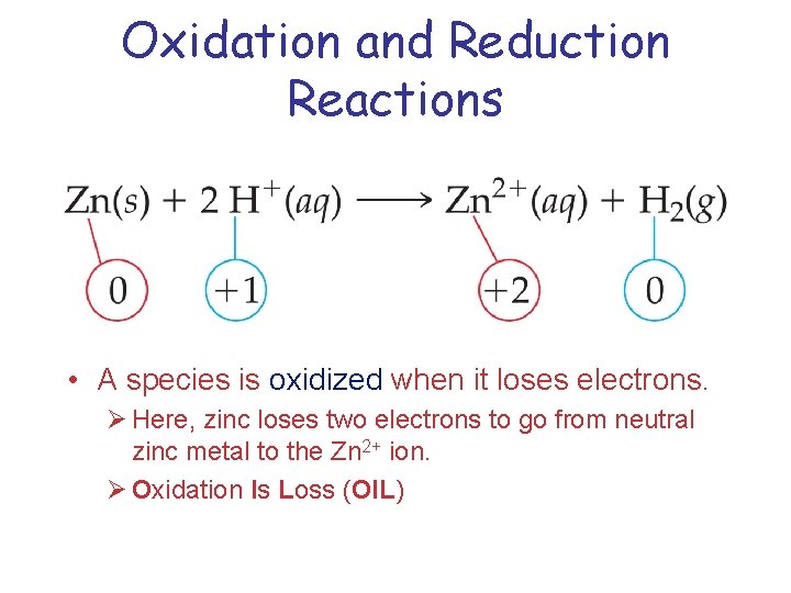 Oxidation and Reduction Reactions • A species is oxidized when it loses electrons. Ø