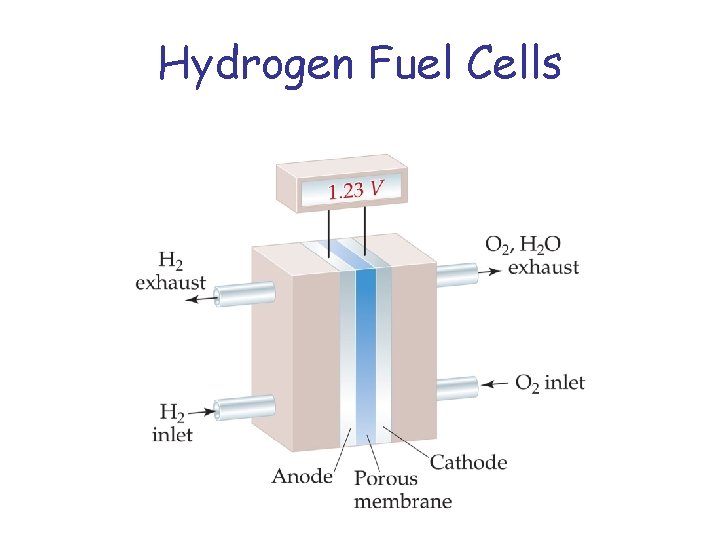 Hydrogen Fuel Cells 
