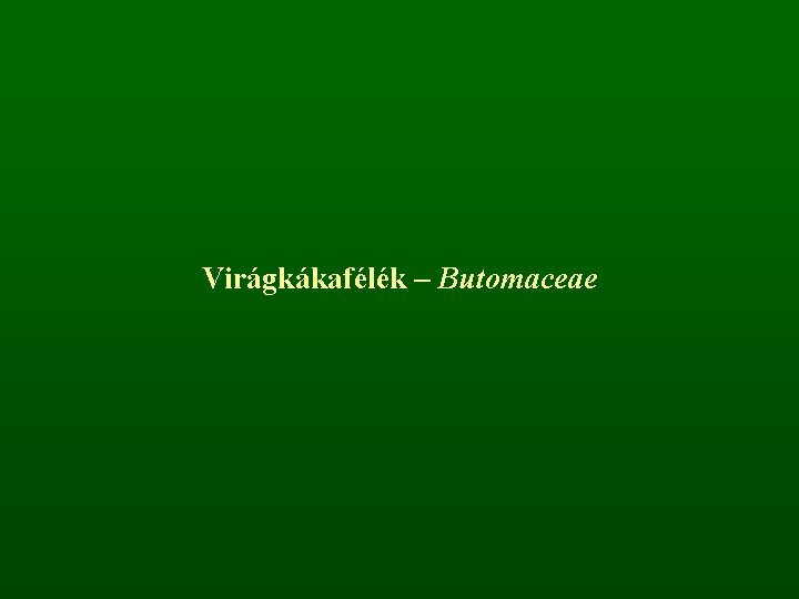 Virágkákafélék – Butomaceae 