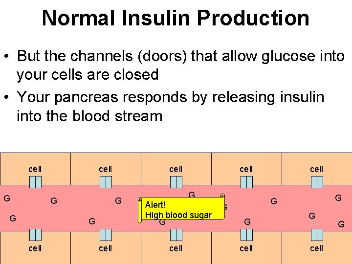 Normal Insulin Production • But the channels (doors) that allow glucose into your cells