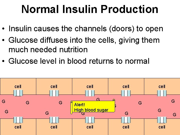 Normal Insulin Production • Insulin causes the channels (doors) to open • Glucose diffuses