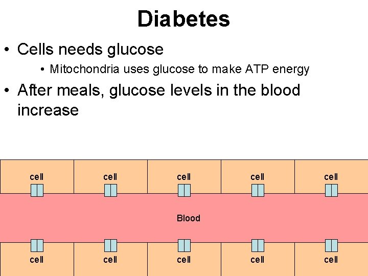 Diabetes • Cells needs glucose • Mitochondria uses glucose to make ATP energy •