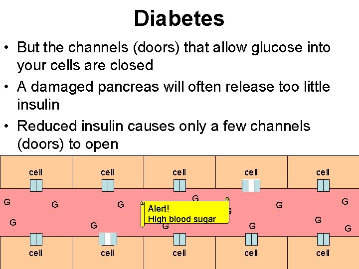 Diabetes • But the channels (doors) that allow glucose into your cells are closed