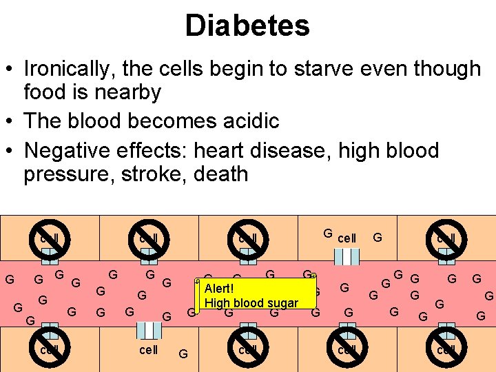 Diabetes • Ironically, the cells begin to starve even though food is nearby •