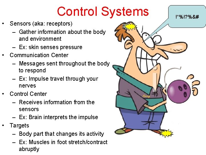 Control Systems • Sensors (aka: receptors) – Gather information about the body and environment