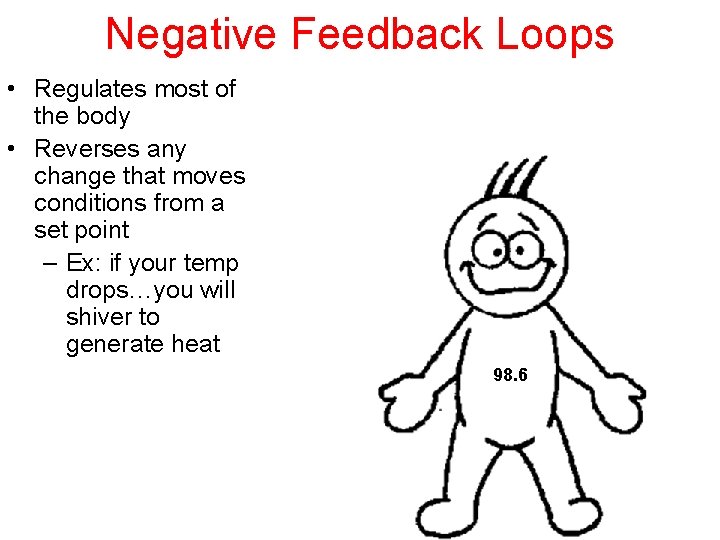 Negative Feedback Loops • Regulates most of the body • Reverses any change that