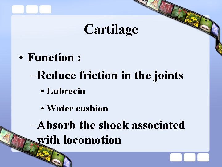 Cartilage • Function : – Reduce friction in the joints • Lubrecin • Water