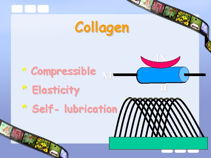 Collagen * Compressible XI * Elasticity * Self- lubrication IX II 