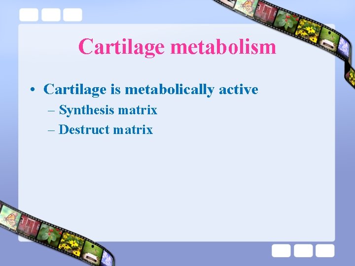 Cartilage metabolism • Cartilage is metabolically active – Synthesis matrix – Destruct matrix 