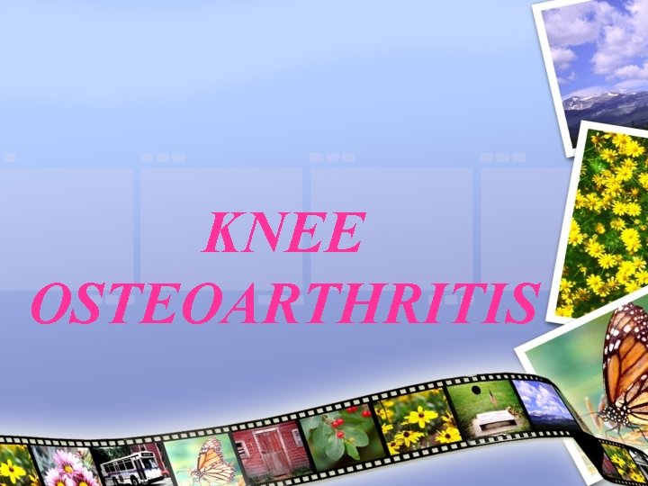 KNEE OSTEOARTHRITIS 