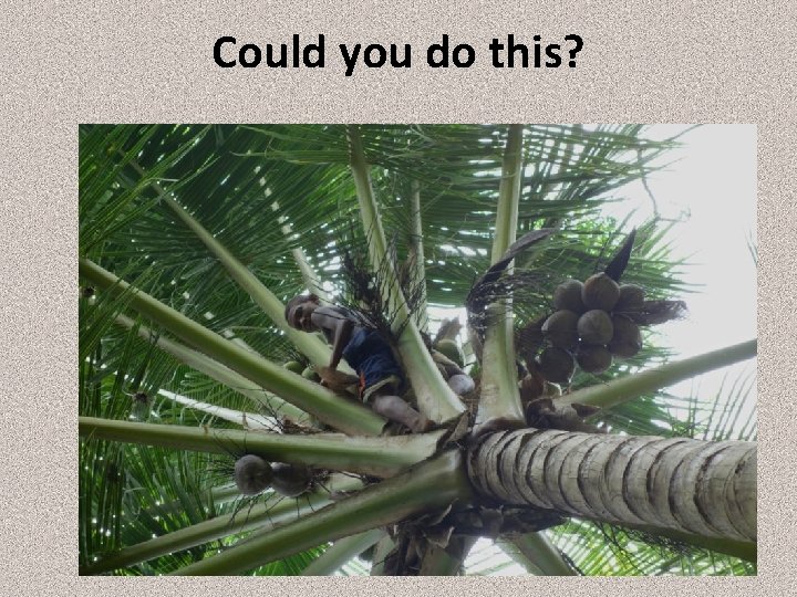 Could you do this? 