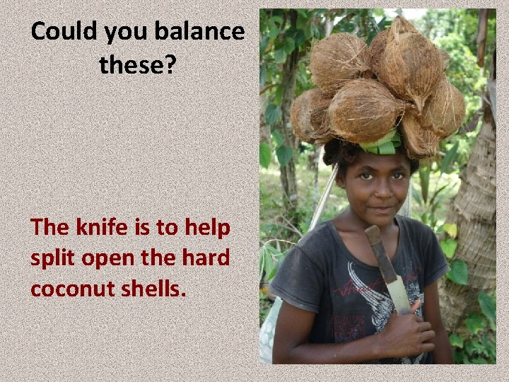 Could you balance these? The knife is to help split open the hard coconut
