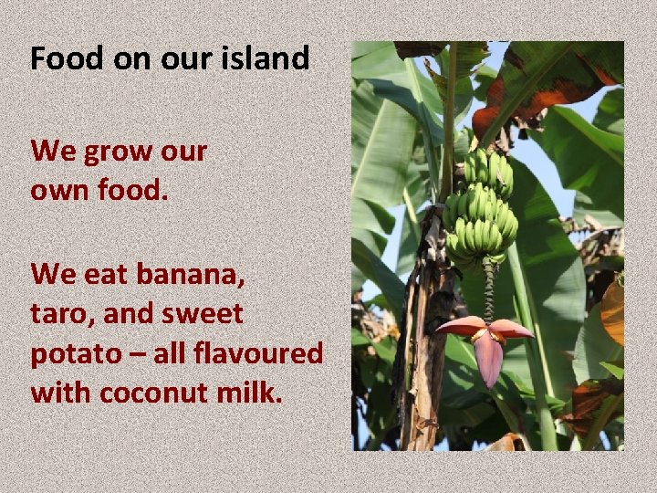 Food on our island We grow our own food. We eat banana, taro, and