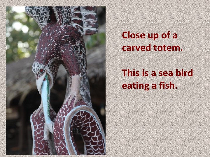Close up of a carved totem. This is a sea bird eating a fish.