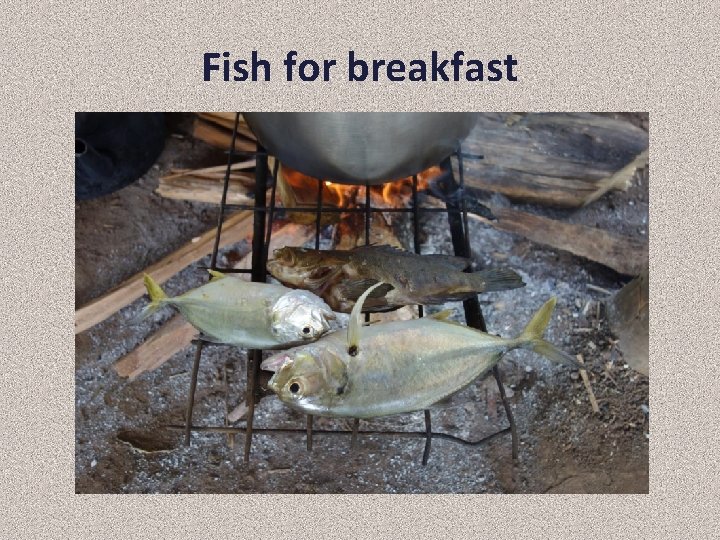 Fish for breakfast 