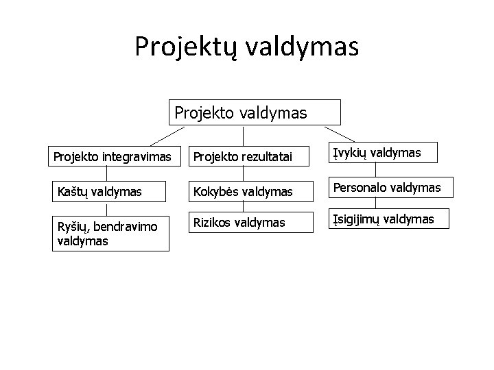 Projektų valdymas Projekto rezultatai Įvykių valdymas Kaštų valdymas Kokybės valdymas Personalo valdymas Ryšių, bendravimo