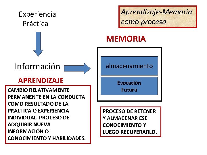 Experiencia Práctica Aprendizaje-Memoria como proceso MEMORIA Información APRENDIZAJE CAMBIO RELATIVAMENTE PERMANENTE EN LA CONDUCTA