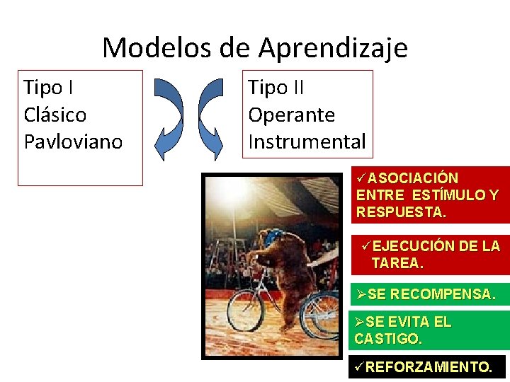 Modelos de Aprendizaje Tipo I Clásico Pavloviano Tipo II Operante Instrumental üASOCIACIÓN ENTRE ESTÍMULO