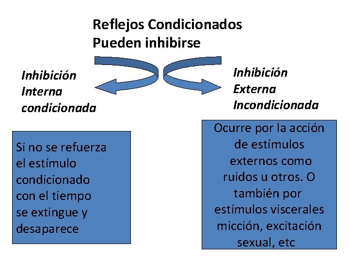 Reflejos Condicionados Pueden inhibirse Inhibición Interna condicionada Si no se refuerza el estímulo condicionado