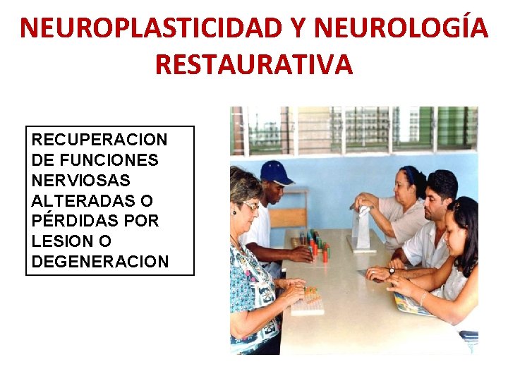 NEUROPLASTICIDAD Y NEUROLOGÍA RESTAURATIVA RECUPERACION DE FUNCIONES NERVIOSAS ALTERADAS O PÉRDIDAS POR LESION O