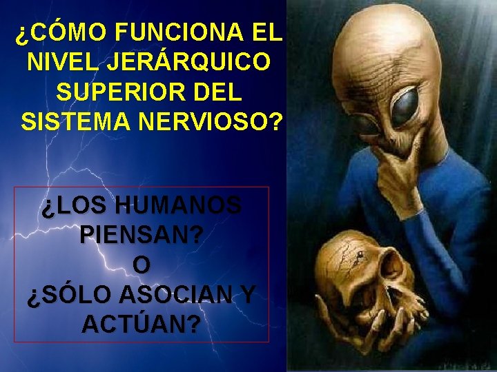 ¿CÓMO FUNCIONA EL NIVEL JERÁRQUICO SUPERIOR DEL SISTEMA NERVIOSO? ¿LOS HUMANOS PIENSAN? O ¿SÓLO