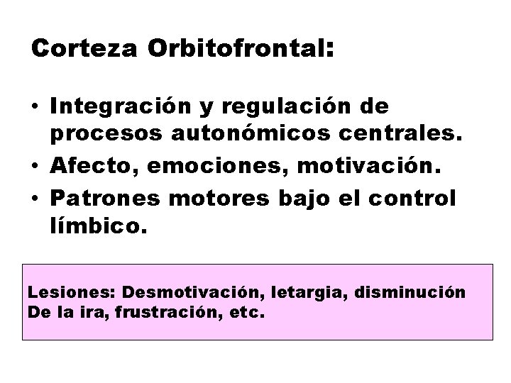 Corteza Orbitofrontal: • Integración y regulación de procesos autonómicos centrales. • Afecto, emociones, motivación.