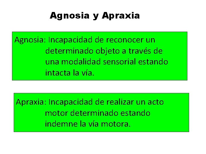 Agnosia y Apraxia Agnosia: Incapacidad de reconocer un determinado objeto a través de una