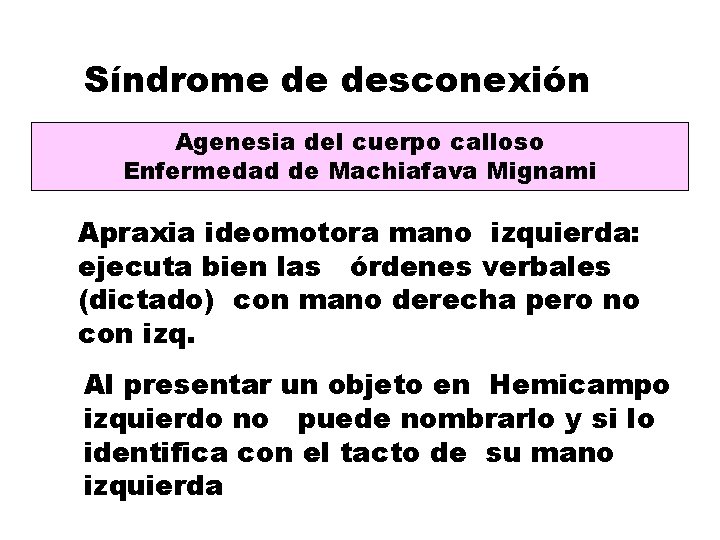 Síndrome de desconexión Agenesia del cuerpo calloso Enfermedad de Machiafava Mignami Apraxia ideomotora mano