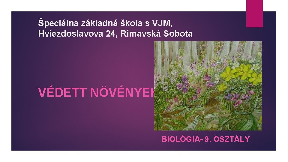 Špeciálna základná škola s VJM, Hviezdoslavova 24, Rimavská Sobota VÉDETT NÖVÉNYEK BIOLÓGIA- 9. OSZTÁLY