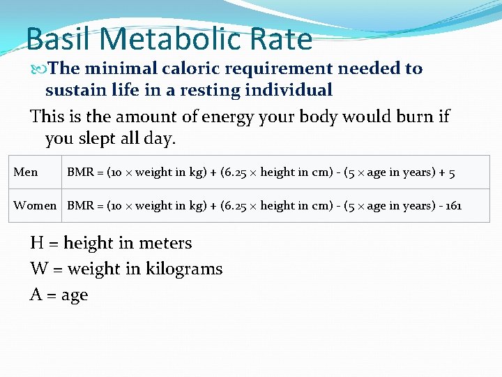 Basil Metabolic Rate The minimal caloric requirement needed to sustain life in a resting