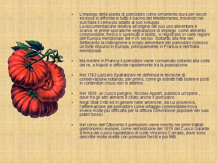  • L’impiego della pianta di pomodoro come ornamento dura per secoli ed essa