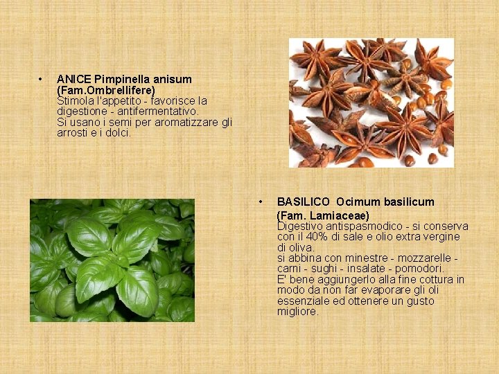  • ANICE Pimpinella anisum (Fam. Ombrellifere) Stimola l'appetito - favorisce la digestione -