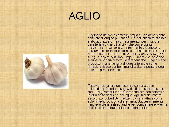 AGLIO • Originario dell’Asia centrale, l’aglio è una delle piante coltivate di origine più