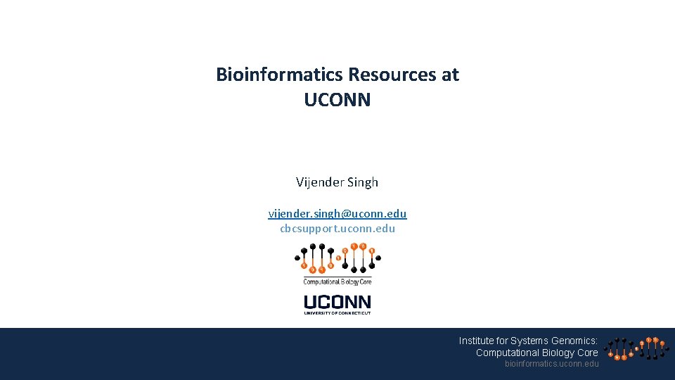 Bioinformatics Resources at UCONN Vijender Singh vijender. singh@uconn. edu cbcsupport. uconn. edu Institute for