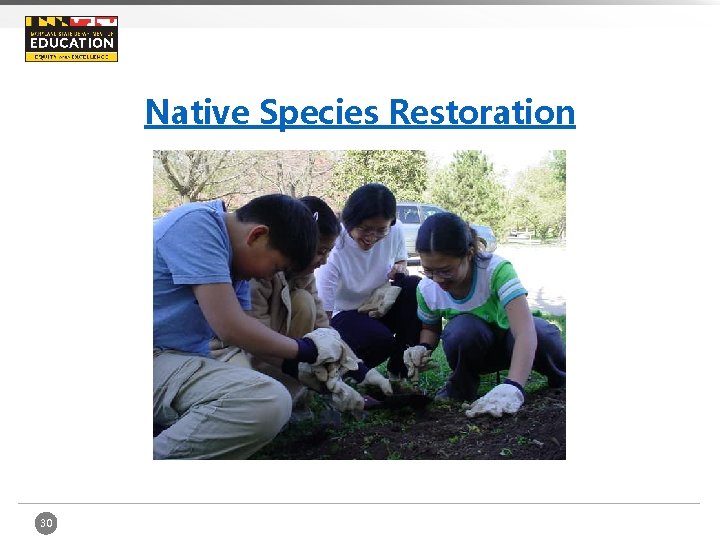 Native Species Restoration 30 