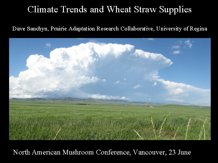 Climate Trends and Wheat Straw Supplies Dave Sauchyn, Prairie Adaptation Research Collaborative, University of Climate Trends and Wheat Straw Supplies Dave Sauchyn, Prairie Adaptation Research Collaborative, University of