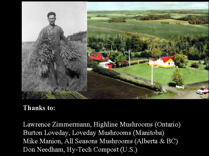 Thanks to: Lawrence Zimmermann, Highline Mushrooms (Ontario) Burton Loveday, Loveday Mushrooms (Manitoba) Mike Manion,