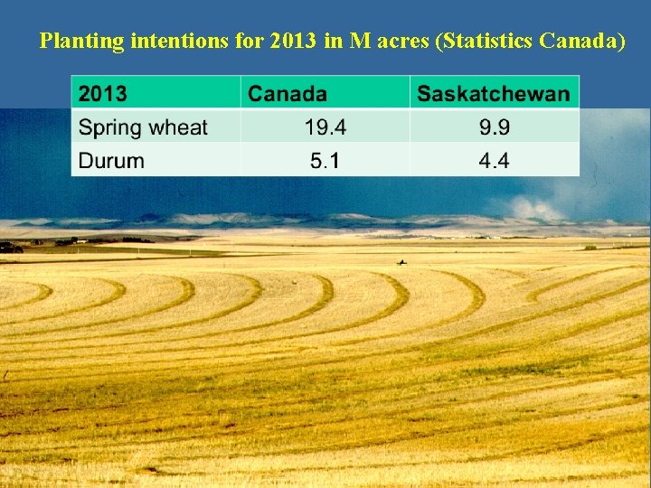 Planting intentions for 2013 in M acres (Statistics Canada) Planting intentions for 2013 in M acres (Statistics Canada)