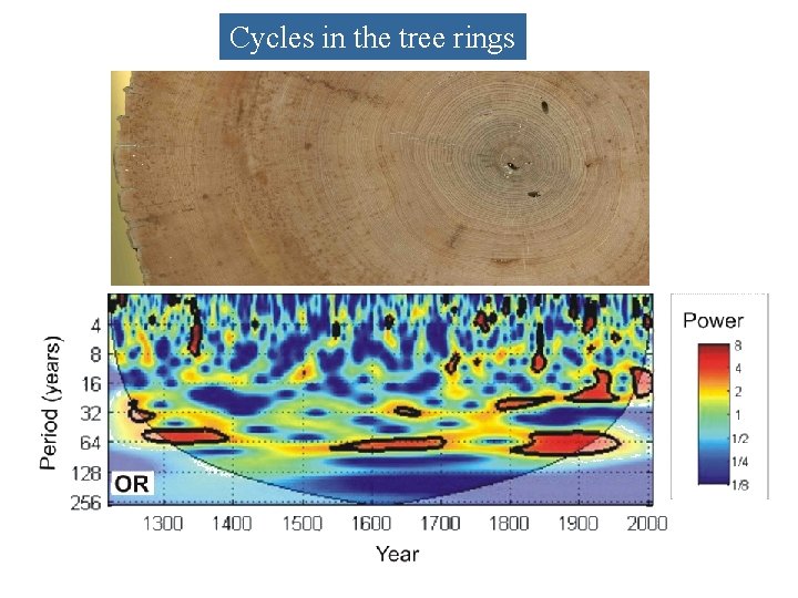 Cycles in the tree rings Cycles in the tree rings