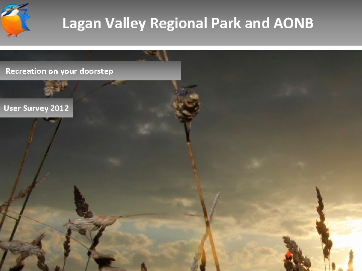 Lagan Valley Regional Park and AONB Recreation on your doorstep User Survey 2012 