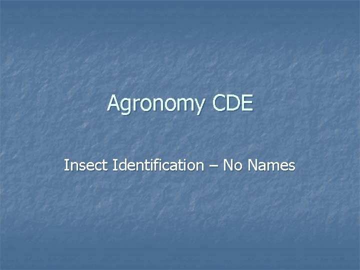 Agronomy CDE Insect Identification – No Names 